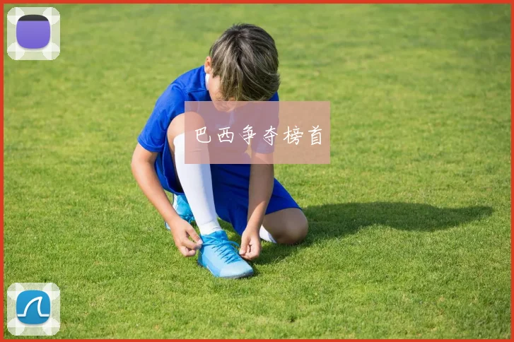 巴西争夺榜首