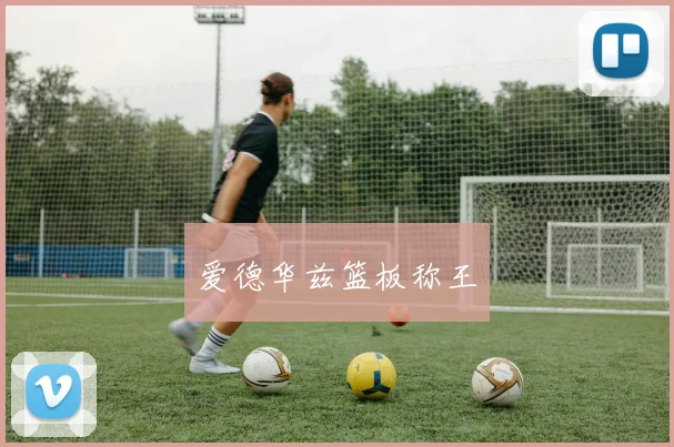 爱德华兹篮板称王