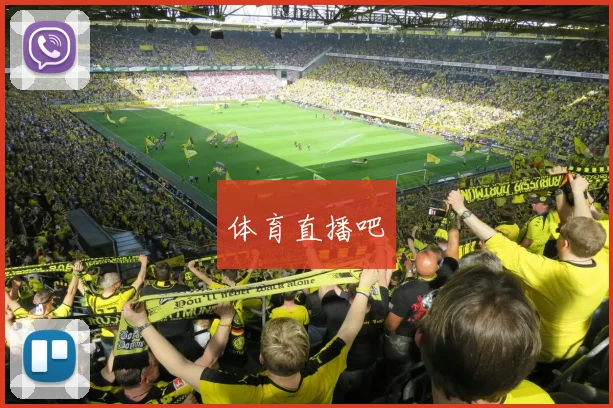体育直播吧