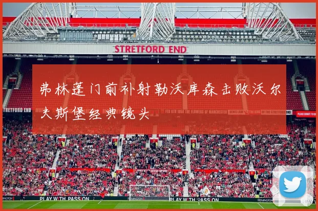 弗林蓬门前补射勒沃库森击败沃尔夫斯堡经典镜头