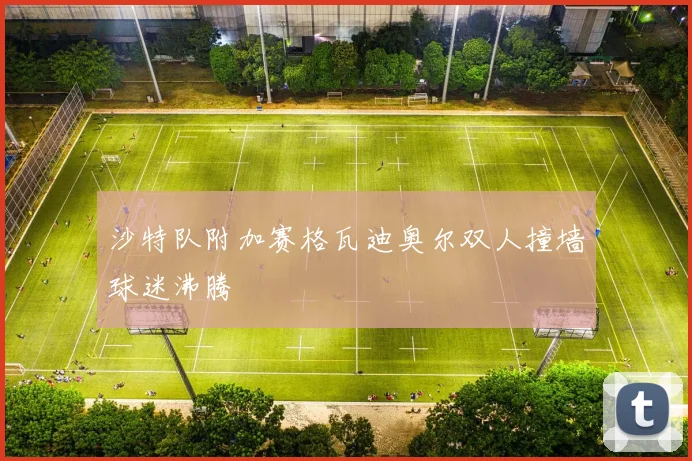 沙特队附加赛格瓦迪奥尔双人撞墙球迷沸腾