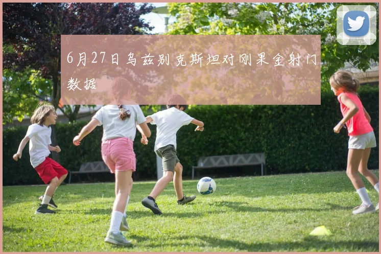 6月27日乌兹别克斯坦对刚果金射门数据