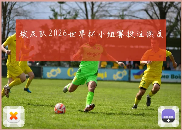 埃及队2026世界杯小组赛投注热度