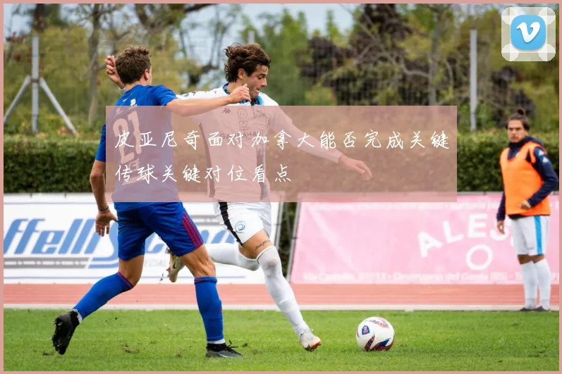 皮亚尼奇面对加拿大能否完成关键传球关键对位看点